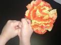 How To Make Tissue Paper Flowers With Your Kids - Youtube