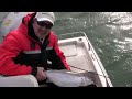 How to Fish for Big Winter Brown Trout