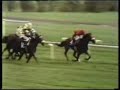 John Henry winning 1981 Arlington Million
