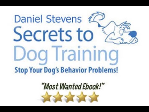 How to Train Your Dog ? - Dog Tricks Video and Obedience Training ...