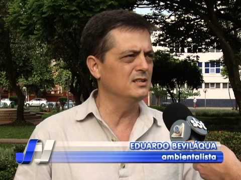 Corte de árvores na cidade de Uberlândia