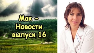 Екатерина Макарова. МакНовости 16