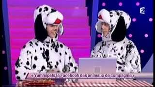 Steeven et Christopher [6] Yummipets le Facebook des animaux de compagnie - ONDAR