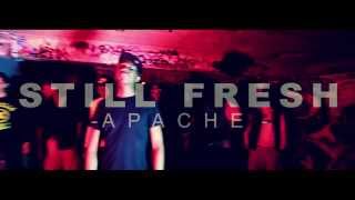 Still Fresh - Apache