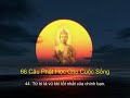 66 Câu Phật Học Làm Chấn Động Thiền Ngữ Thế Giới