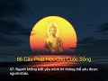 66 Câu Phật Học Làm Chấn Động Thiền Ngữ Thế Giới