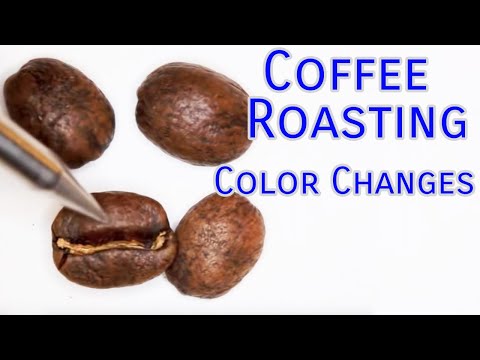 Coffee Roasting Colors Coffee Roasting Colors