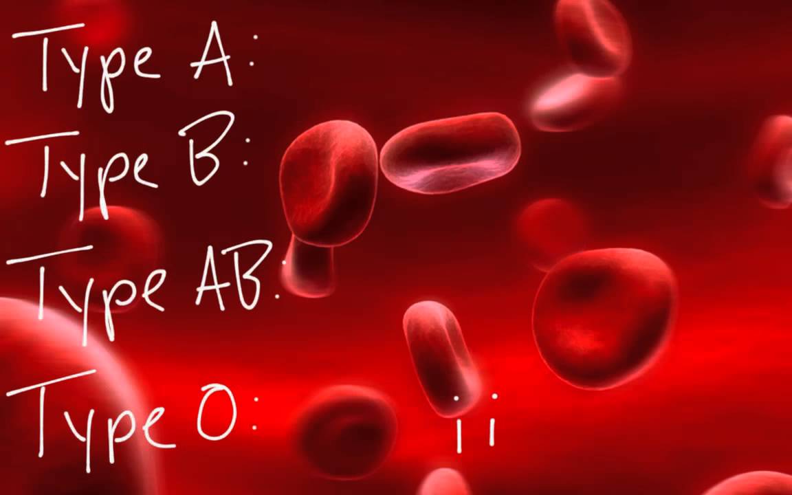 Human Blood Types - YouTube