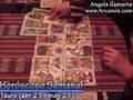 Video Horscopo Semanal TAURO  del 9 al 15 Noviembre 2008 (Semana 2008-46) (Lectura del Tarot)