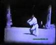 Maître Shigeru Egami (Shotokai) - Stage au Japon