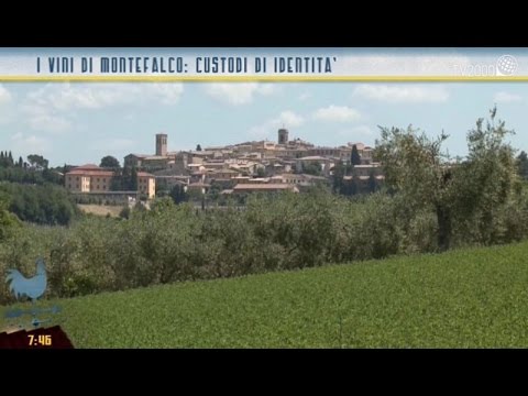 I vini di Montefalco: custodi di identità