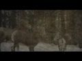 CARIBOU - Odessa