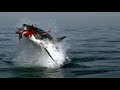 Thumbnail 1 for Shark Bites Man In Half SHOCKING ! ! ! Thumbnail 1 for Shark Bites Man In Half SHOCKING ! ! !