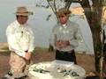 Programa Pesca e Lazer - Tucunaré com Iscas Artificiais