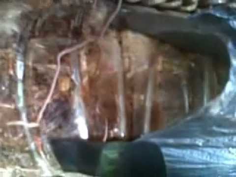 kroto rangrang - YouTube