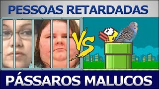 PESSOAS RETARDADAS vs PÁSSAROS MALUCOS - VS News