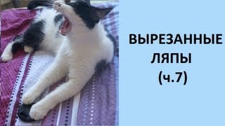 Вырезанные ЛЯПЫ (часть 7)