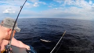 рыбалка на волхове креницы рыбалка на волхове креницы