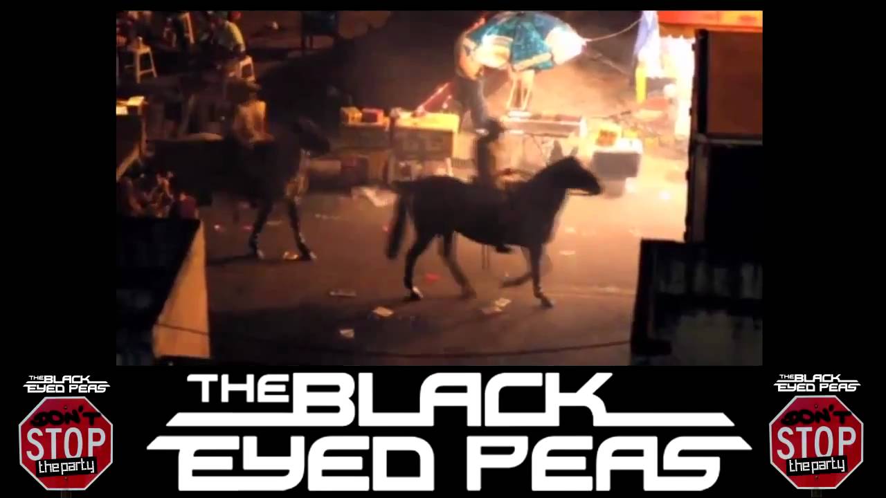 Black Eyed Peas - Dont Stop The Party Lyrics MetroLyrics