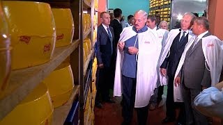 Лукашенко посетил сыродельный завод в Белыничах