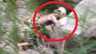 Bizarre Gollum Like Creature Spotted In China