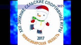 Спортивные достижения бердчан
