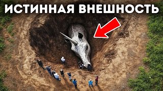 Мифы, которые звучат правдоподобно, факты, которые кажутся невозможными