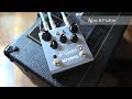 Strymon - El Capistan dTape Echo - Audio Clips #1