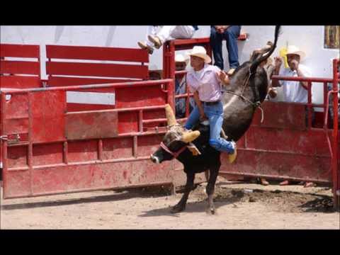 BAILE DE JARIPEO SANTA MARIA NATIVITAS BAILE DE JARIPEO SANTA MARIA NATIVITAS