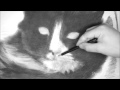 Henri, The Cat (Tribute) *NEW*
