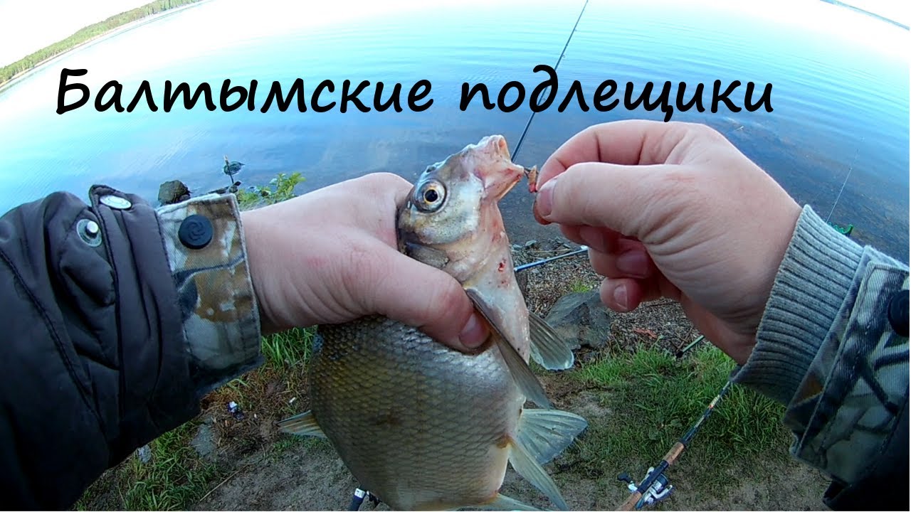 на водоеме есть лещ но не клюет на водоеме есть лещ но не клюет