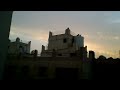 Antichrist : Locusts plague the Land of Egypt before Obama Passover visit to Israel (Mar 03, 2013)