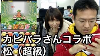 【パズドラ】カピバラさん コラボ 松（超級）挑戦！