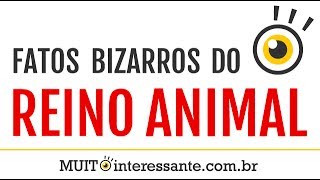 Fatos Bizarros do Reino Animal - MUITO interessante #1