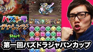 【パズドラチャレンジ】第1回パズドラジャパンカップに挑戦！ヒカキンゲームズ