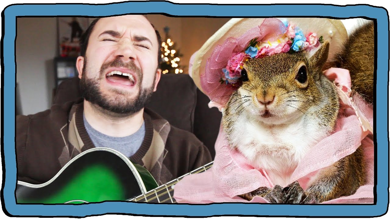 SQUIRREL SONG - YouTube