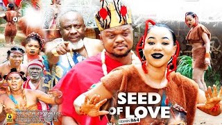 Seed Of Love 1&2 Alur Translated Movie New Nigerian Films Comedy Music 2024 2025