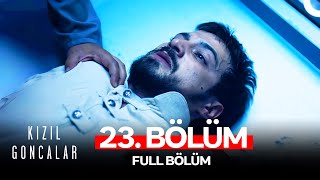 Красные бутоны 23 серия