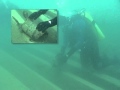 Scuba Diving the Alger Underwater Preserve