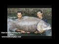 Worlds largest fish Ever