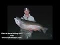 Worlds largest fish Ever