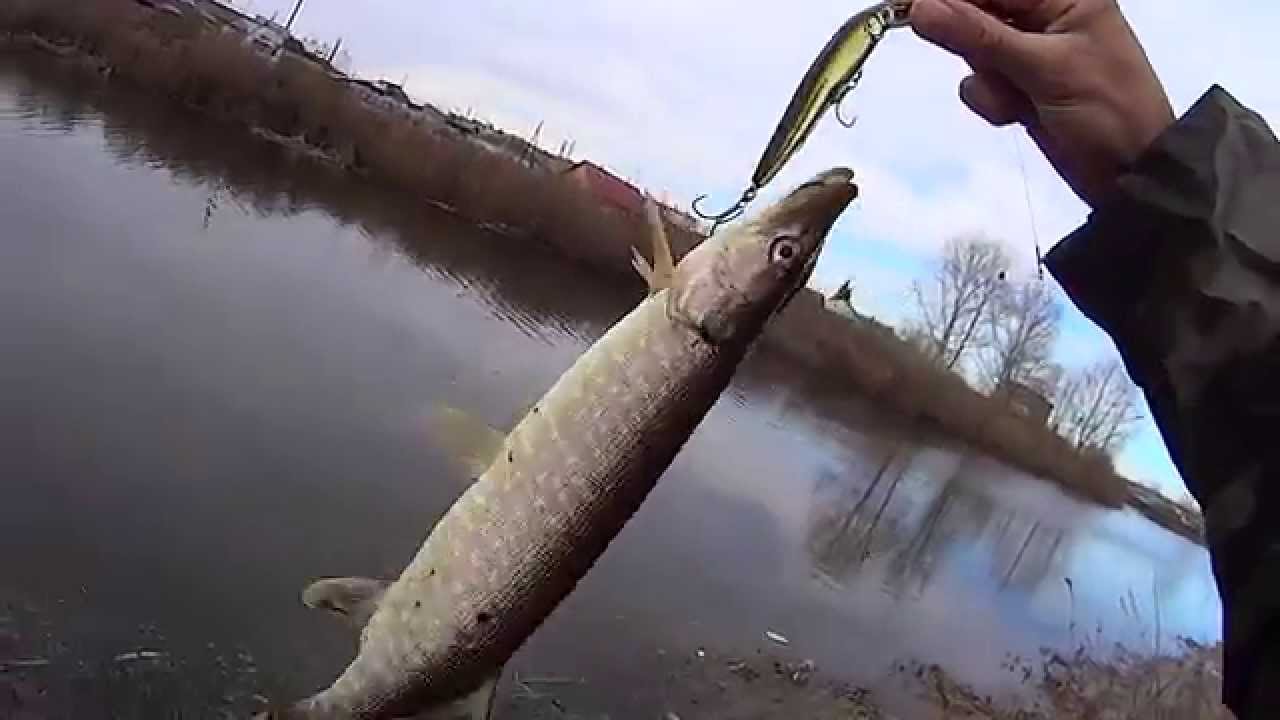 рыбалка на ведлозере видео рыбалка на ведлозере видео