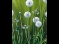 Clodin Roy,peintre/painter