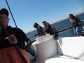 Salmon Fishing Westport Washington, July 2011