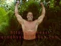 Home shoulder workout: dumbbell press exercise