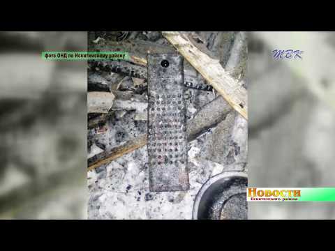 На пожаре в Искитимском районе погиб мужчина