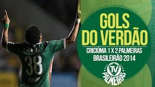 DE VIRADA! Gols - Criciúma 1 x 2 Palmeiras - Brasileirão 2014