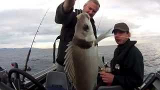 ** South Coast Wellington - Winter Fishing in the F14 **