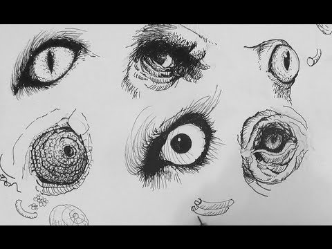 Pen & Ink Drawing Tutorials | How to draw realistic animal eyes - YouTube