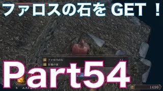 ダークソウル2を初見実況プレイ！part54　狩猟の森を探索し、ファロスの石をGET！DARK SOULS Ⅱ